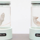 Illustration for article titled Artist creates genetically modified Elvis-mouse hybrid